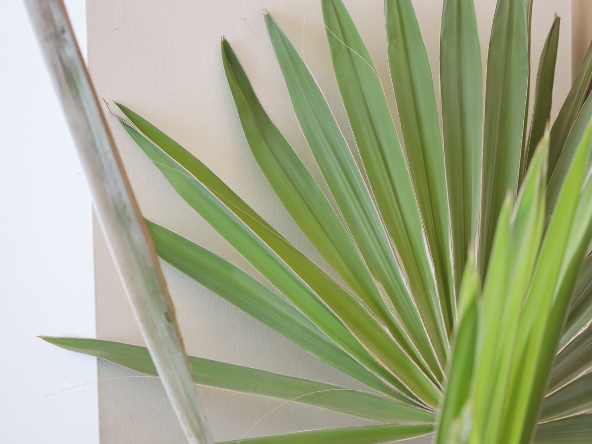 How to Keep Your Skin Healthy this&nbsp;Summer